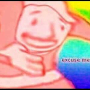 Meet your Posher, Max